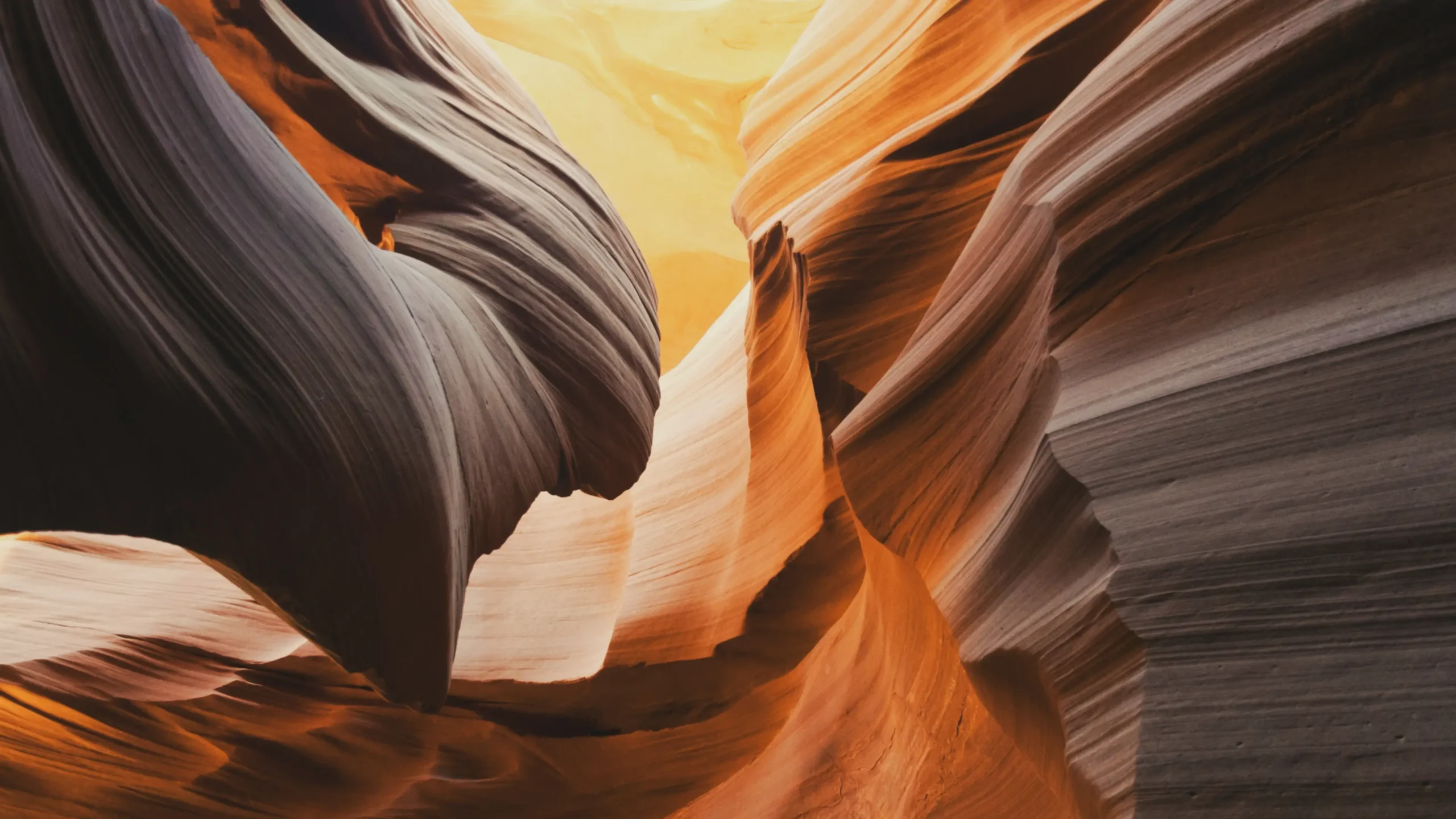 Canyon I groov artwork