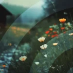 track-artwork