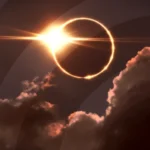 track-artwork