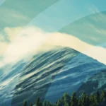 track-artwork