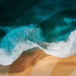 track-artwork
