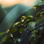 track-artwork