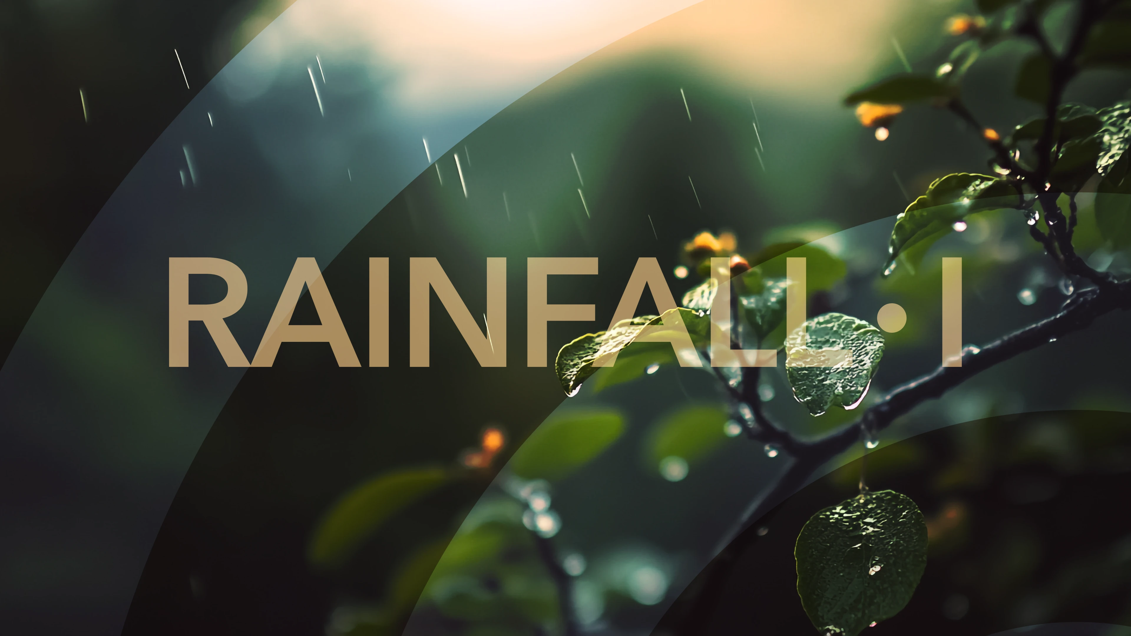 Rainfall I